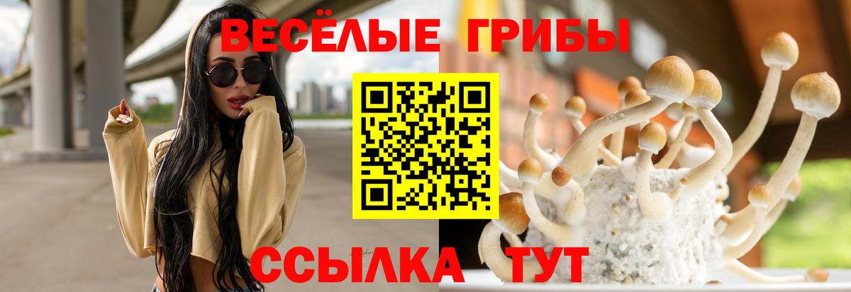 Кунгур  Галлюциногенные грибы прущие грибы  магазин    Вход с VPN 
